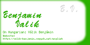 benjamin valik business card