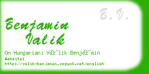 benjamin valik business card